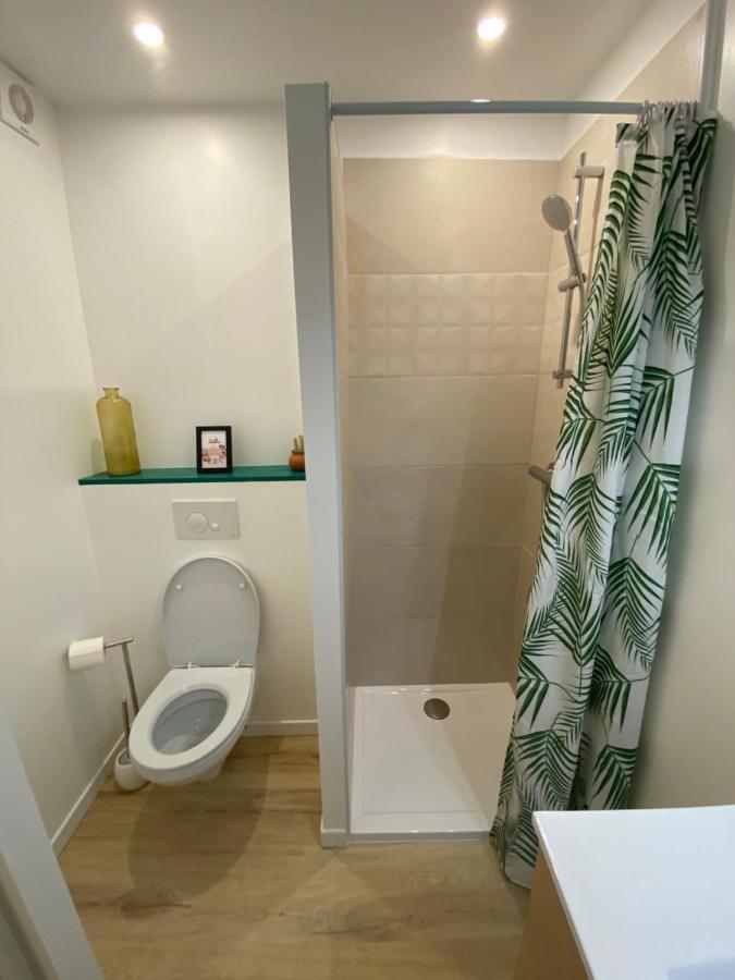 Appartement En Bord De Mer 1 バニュルス・シュル・メール エクステリア 写真